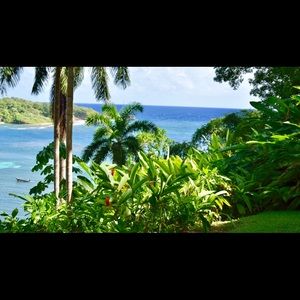 Meet your Posher, Gilli_